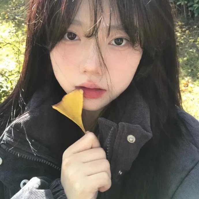 神奇的汉字第二季