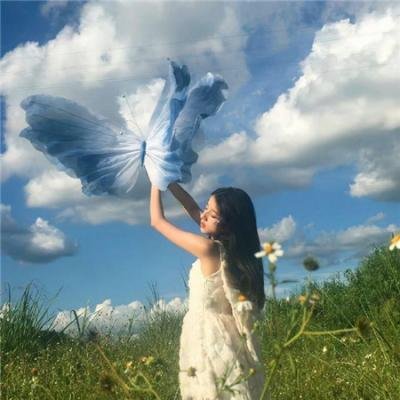 美人追